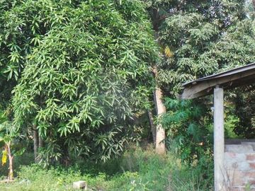 Venta de Terreno Urbano en Chone