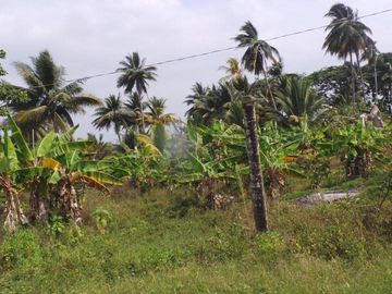 Venta de Terreno Urbano en Chone