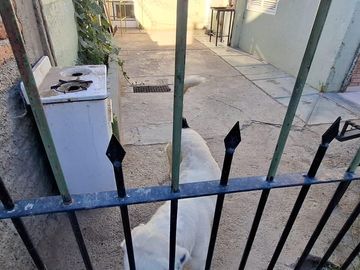 Venta casa 3 dorm. B° Fonavi - Senillosa