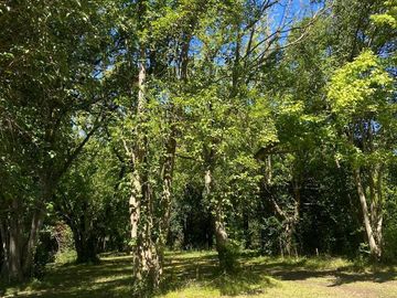 Casa en venta - Barrio El Bosquecillo, Ezeiza