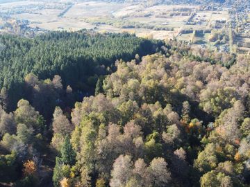 VENTA ESTANCIA DE 13Ha - CAMINO A LOLOG - SAN MARTIN DE LOS ANDES