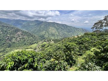 VENTA DE FINCA EN GENOVA, QUINDO, COLOMBIA
