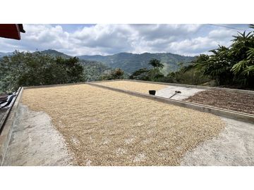 VENTA DE FINCA EN GENOVA, QUINDO, COLOMBIA