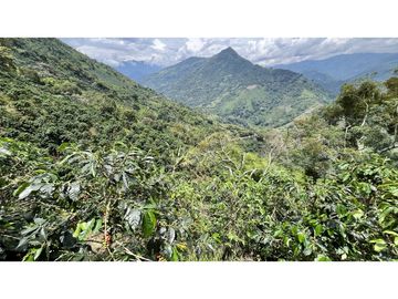 VENTA DE FINCA EN GENOVA, QUINDO, COLOMBIA