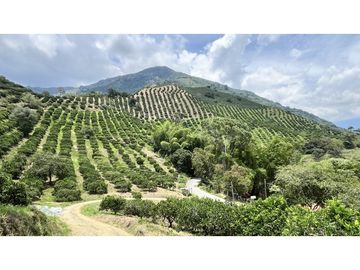 VENTA DE FINCA EN GENOVA, QUINDO, COLOMBIA
