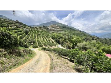 VENTA DE FINCA EN GENOVA, QUINDO, COLOMBIA
