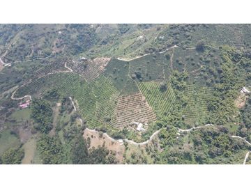 VENTA DE FINCA EN GENOVA, QUINDO, COLOMBIA