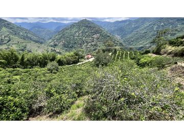 VENTA DE FINCA EN GENOVA, QUINDO, COLOMBIA