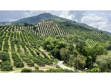 VENTA DE FINCA EN GENOVA, QUINDO, COLOMBIA
