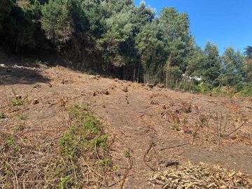 Parcela en venta en ARAUCO