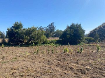 Parcela en venta en ARAUCO