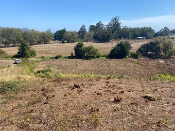Parcela en venta en ARAUCO