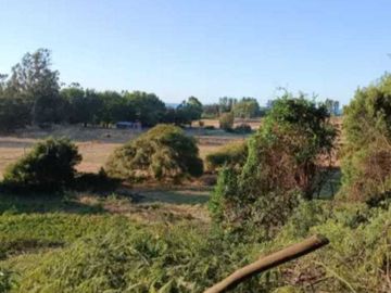 Parcela en venta en ARAUCO