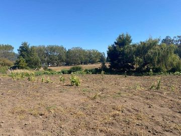 Parcela en venta en ARAUCO