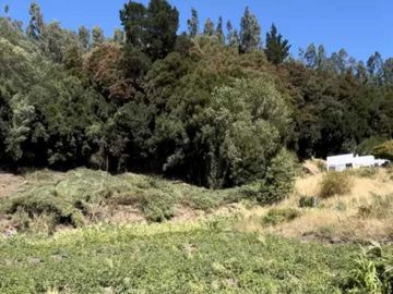 Parcela en venta en ARAUCO