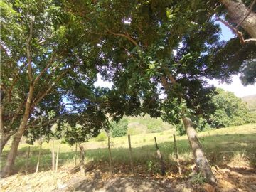Se Vende Finca de 16 Has en Monte Oscuro La Chorrera (DR)