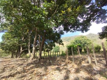 Se Vende Finca de 16 Has en Monte Oscuro La Chorrera (DR)