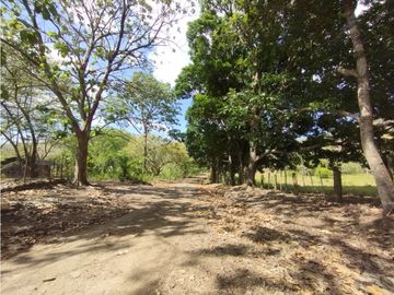Se Vende Finca de 16 Has en Monte Oscuro La Chorrera (DR)