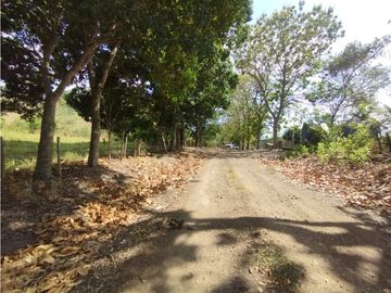Se Vende Finca de 16 Has en Monte Oscuro La Chorrera (DR)