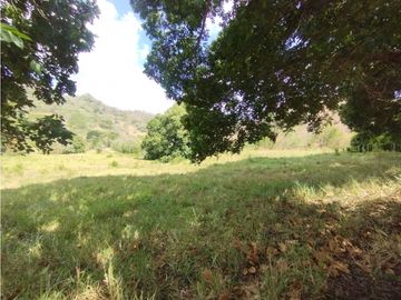 Se Vende Finca de 16 Has en Monte Oscuro La Chorrera (DR)
