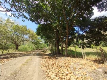 Se Vende Finca de 16 Has en Monte Oscuro La Chorrera (DR)