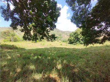Se Vende Finca de 16 Has en Monte Oscuro La Chorrera (DR)