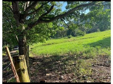 Se Vende Finca de 16 Has en Monte Oscuro La Chorrera (DR)