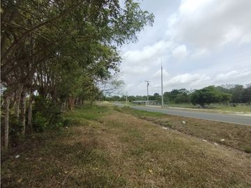 Se Vende Finca de 16 Has en Llanito Verde La Chorrera (DR)