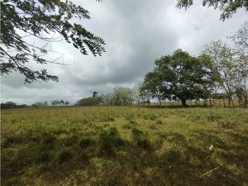 Se Vende Finca de 16 Has en Llanito Verde La Chorrera (DR)