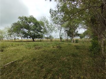 Se Vende Finca de 16 Has en Llanito Verde La Chorrera (DR)