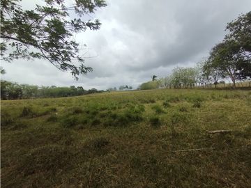 Se Vende Finca de 16 Has en Llanito Verde La Chorrera (DR)