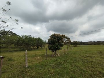 Se Vende Finca de 16 Has en Llanito Verde La Chorrera (DR)