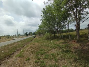 Se Vende Finca de 16 Has en Llanito Verde La Chorrera (DR)