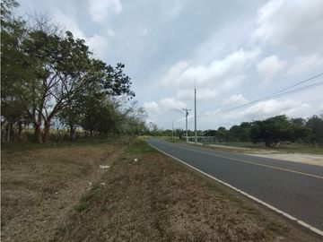 Se Vende Finca de 16 Has en Llanito Verde La Chorrera (DR)