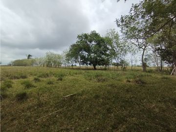 Se Vende Finca de 16 Has en Llanito Verde La Chorrera (DR)