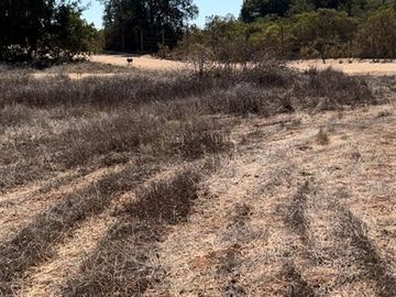 Parcela en Venta en FUNDO PUERTECILLO
