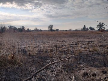 VENTA LOTE EN GUIÑAZU 5HA Y FRACCION