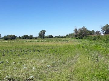 VENTA LOTE EN GUIÑAZU 5HA Y FRACCION