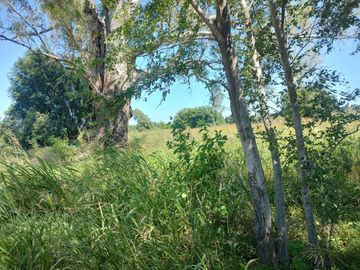 VENTA LOTE EN GUIÑAZU 5HA Y FRACCION