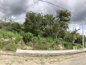 Terreno en Guayllabamba con escrituras y árboles de aguacate