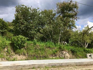 Terreno en Guayllabamba con escrituras y árboles de aguacate