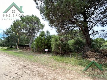Venta - terreno - Nueva Atlantis - Cramer al 3200