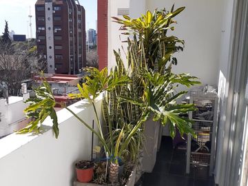 Núñez departamento dúplex 3Amb Reciclado a mts Cabildo/Estac