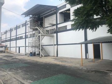 Alce blanco VENTA