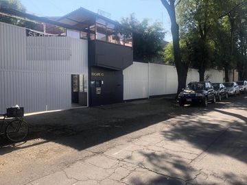 Alce blanco VENTA
