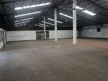 Alce blanco VENTA