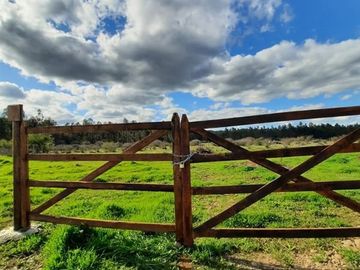 Parcela en Venta en A69175 - Venta Parcela Lagunilla Quella - 5000Mts