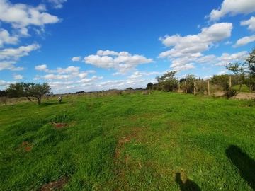 Parcela en Venta en A69175 - Venta Parcela Lagunilla Quella - 5000Mts