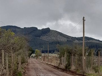 Parcela en Venta en A69175 - Venta Parcela Lagunilla Quella - 5000Mts