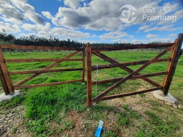 Parcela en Venta en A69175 - Venta Parcela Lagunilla Quella - 5000Mts
